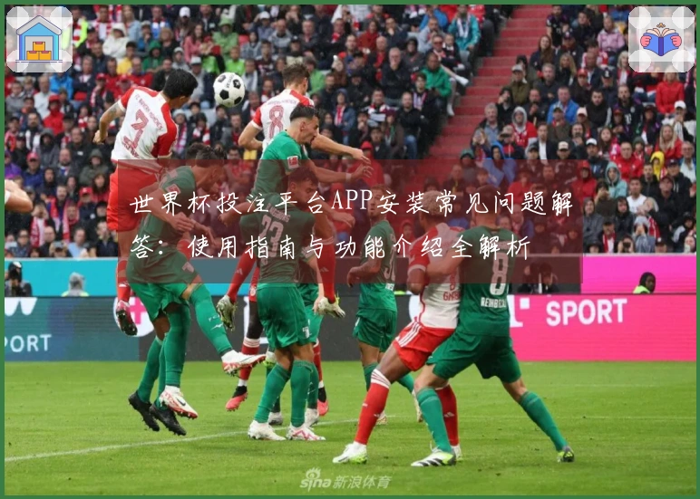 世界杯投注平台APP安装常见问题解答：使用指南与功能介绍全解析