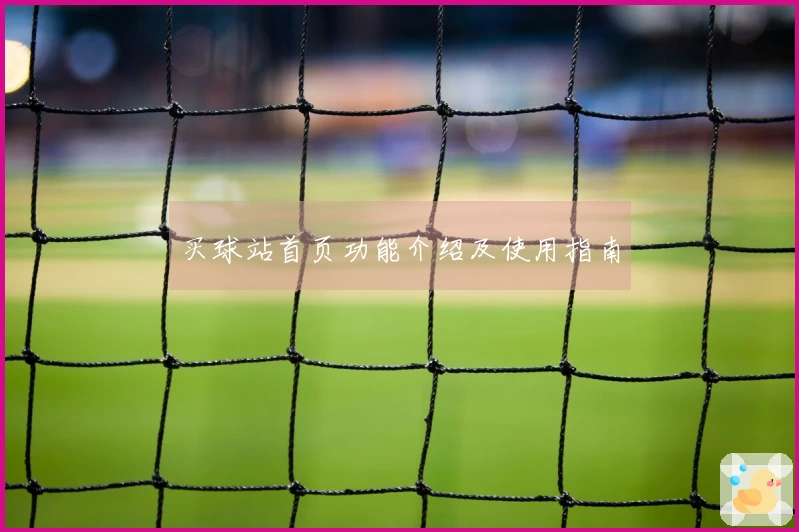 买球站首页功能介绍及使用指南