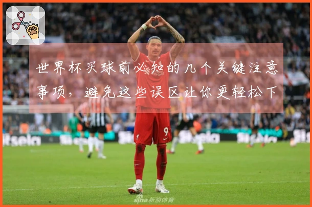 世界杯买球前必知的几个关键注意事项，避免这些误区让你更轻松下注