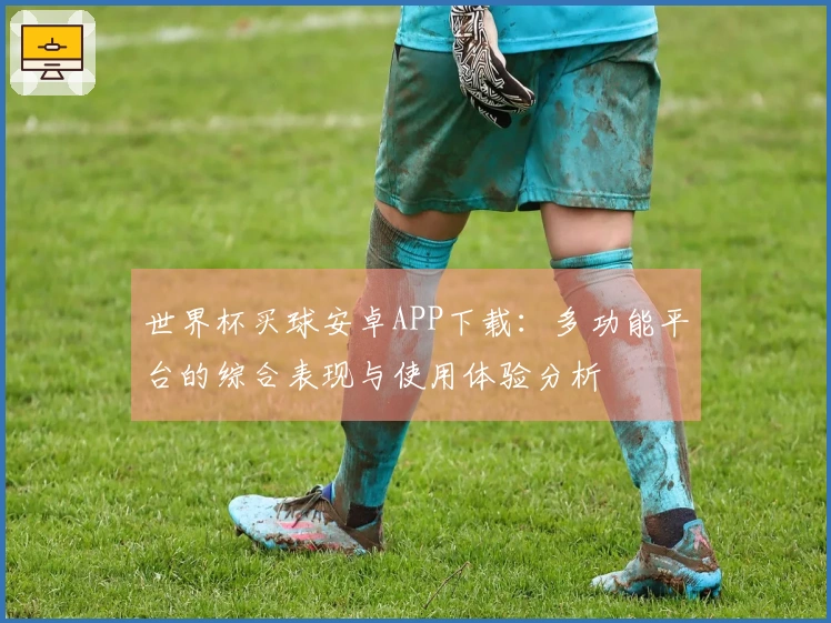 世界杯买球安卓APP下载：多功能平台的综合表现与使用体验分析