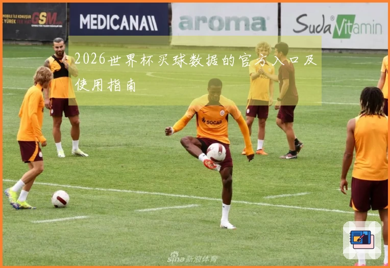 2026世界杯买球数据的官方入口及使用指南