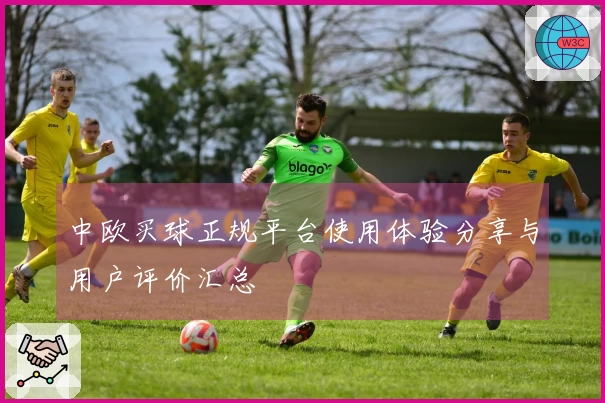中欧买球正规平台使用体验分享与用户评价汇总