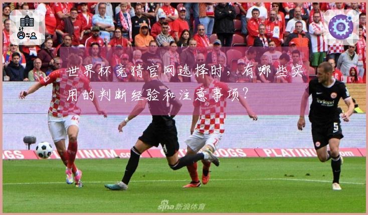 世界杯竞猜官网选择时，有哪些实用的判断经验和注意事项？