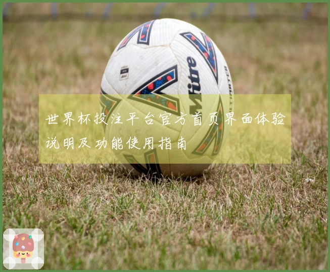 世界杯投注平台官方首页界面体验说明及功能使用指南