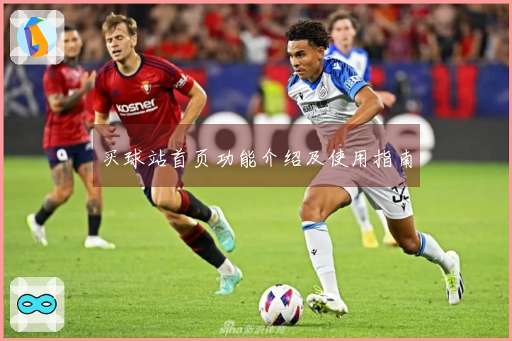 买球站首页功能介绍及使用指南